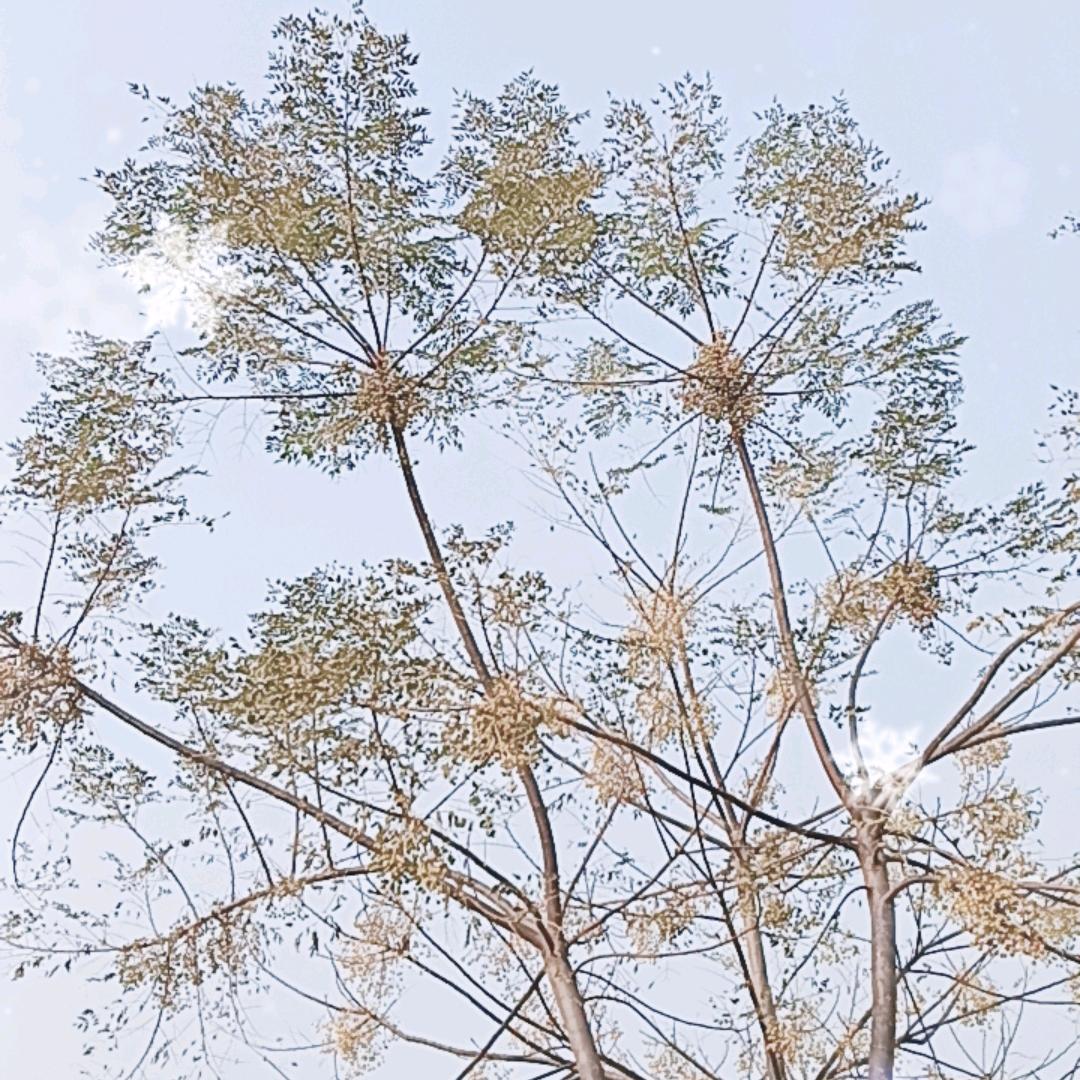 高速🛣️桥洞🕳️约会