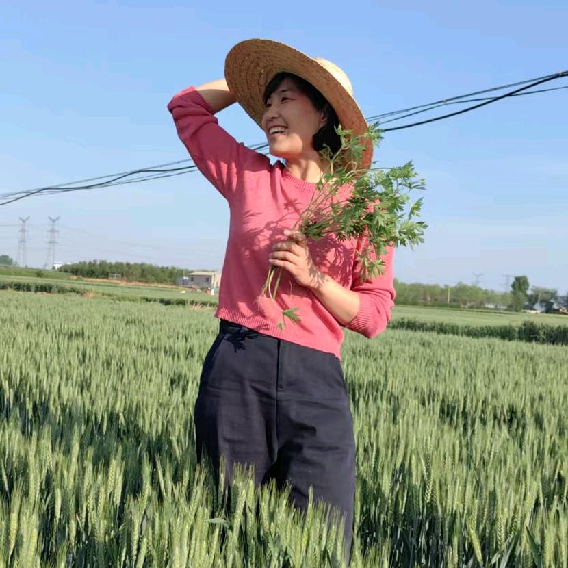 李菊一直在农村