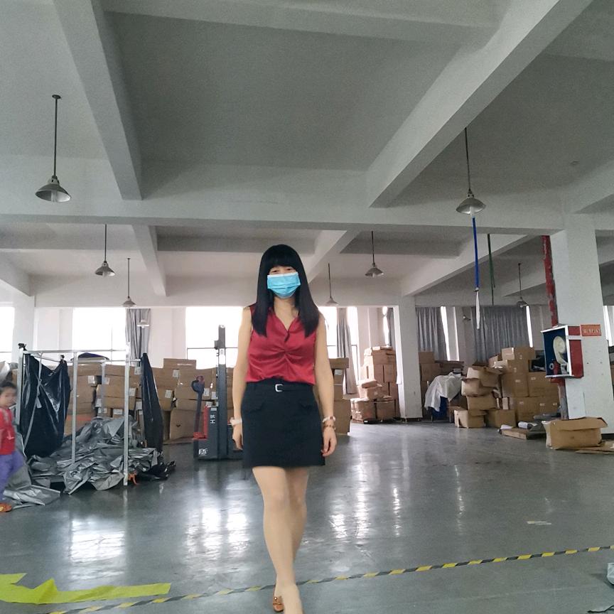 坚强的小鸟飞歌