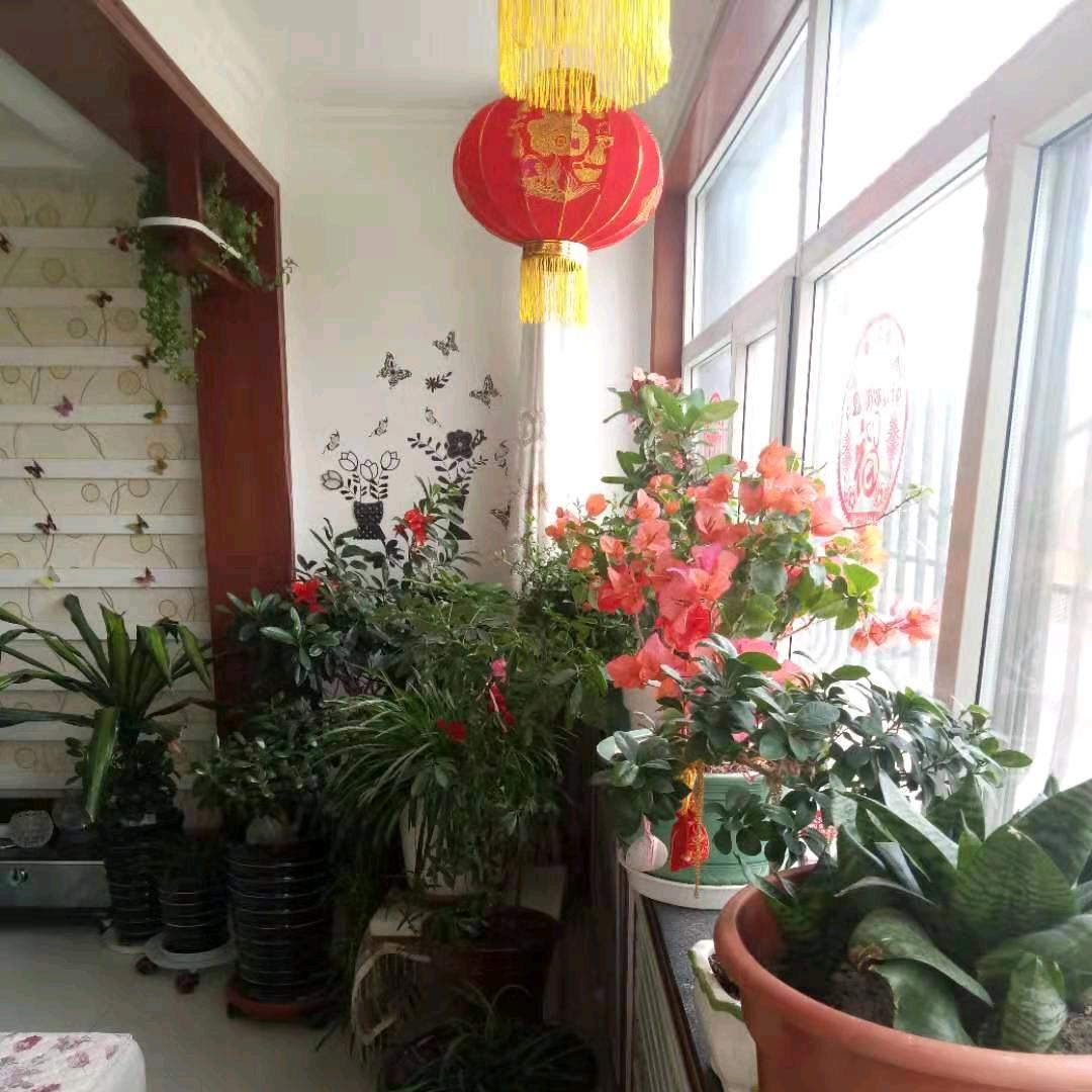 二哥