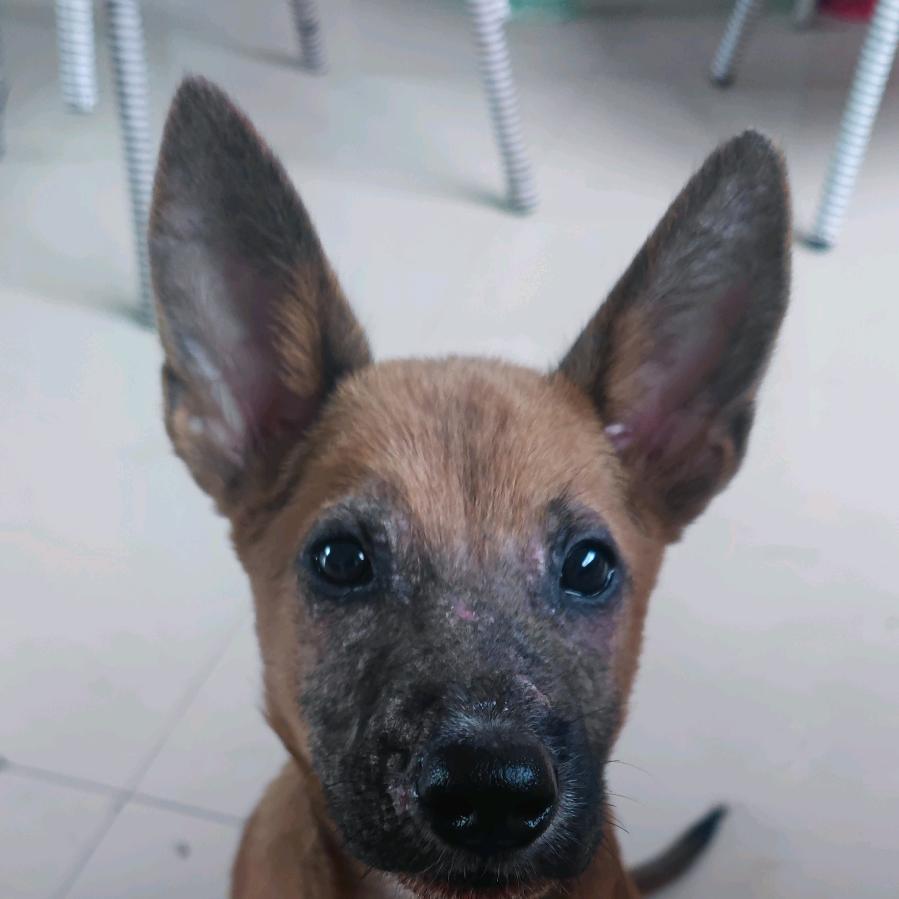 记录历史曾经有我