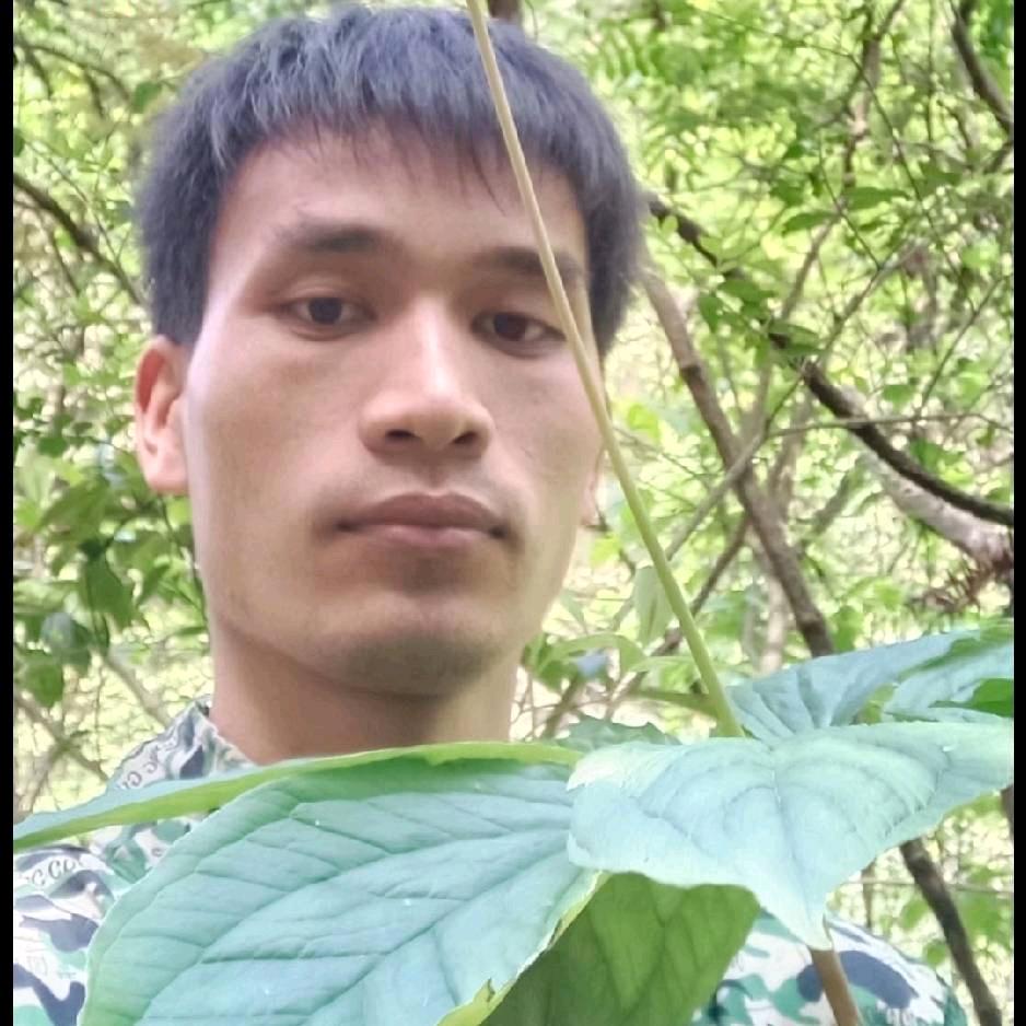 植物科普小唐