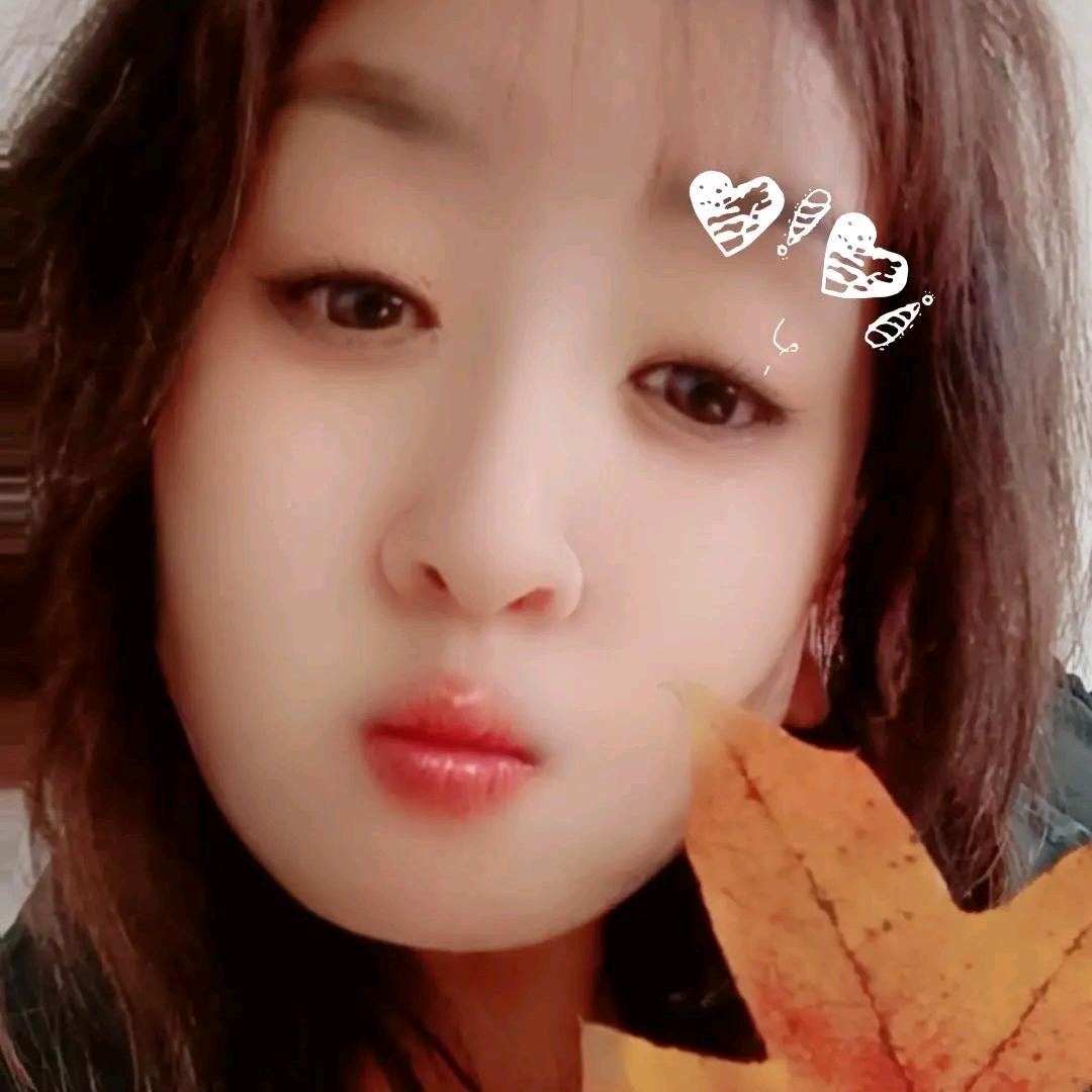 月光下的流星雨