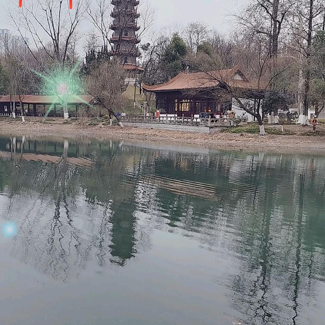 🌴挽❤️留🌴