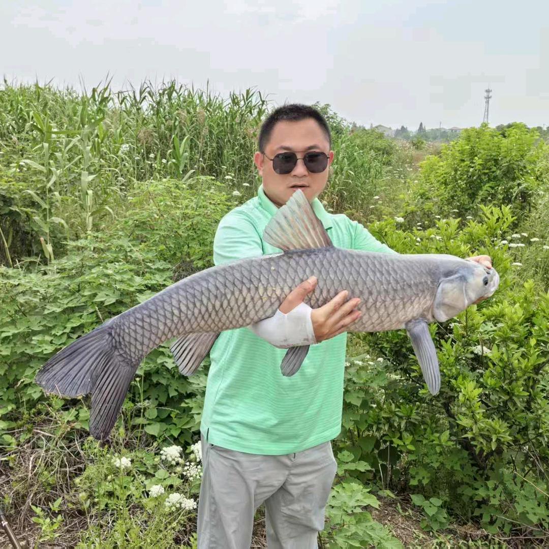 活在凡间的神仙