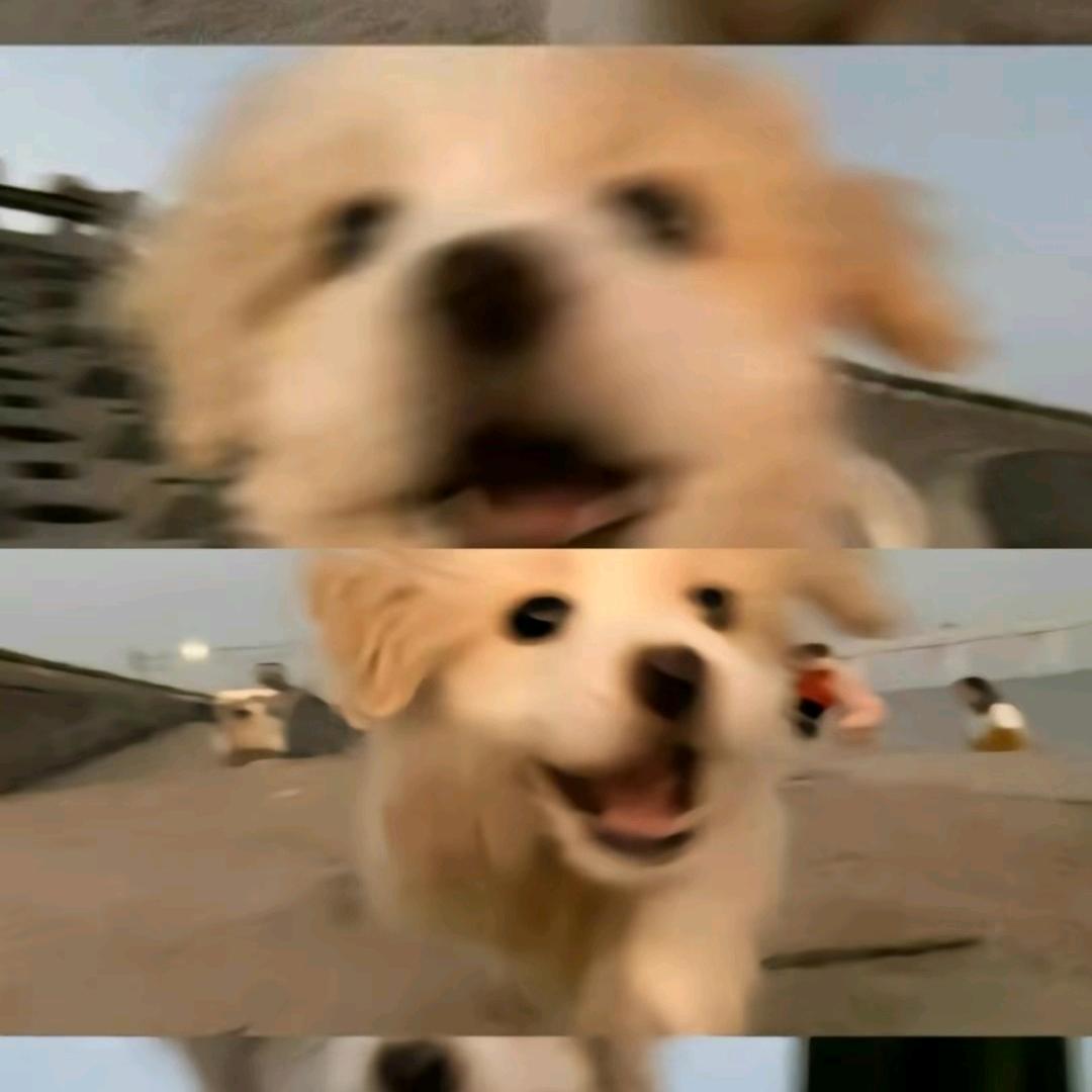 看╭☞( ￣ ▽￣)╭☞乐子