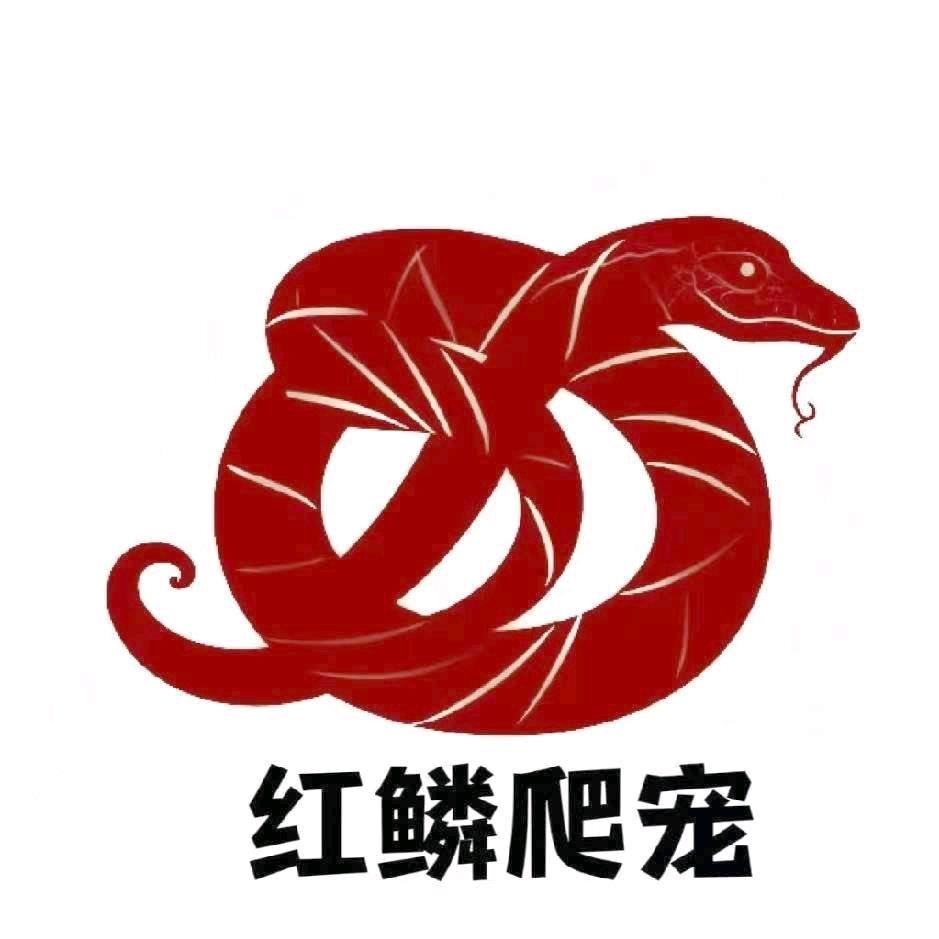 红鳞爬宠