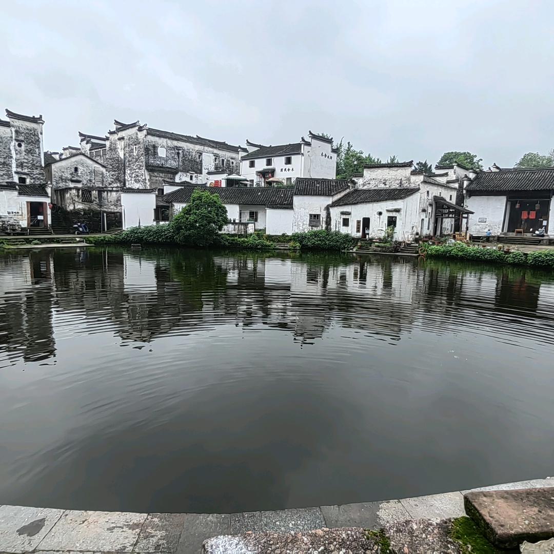 老开