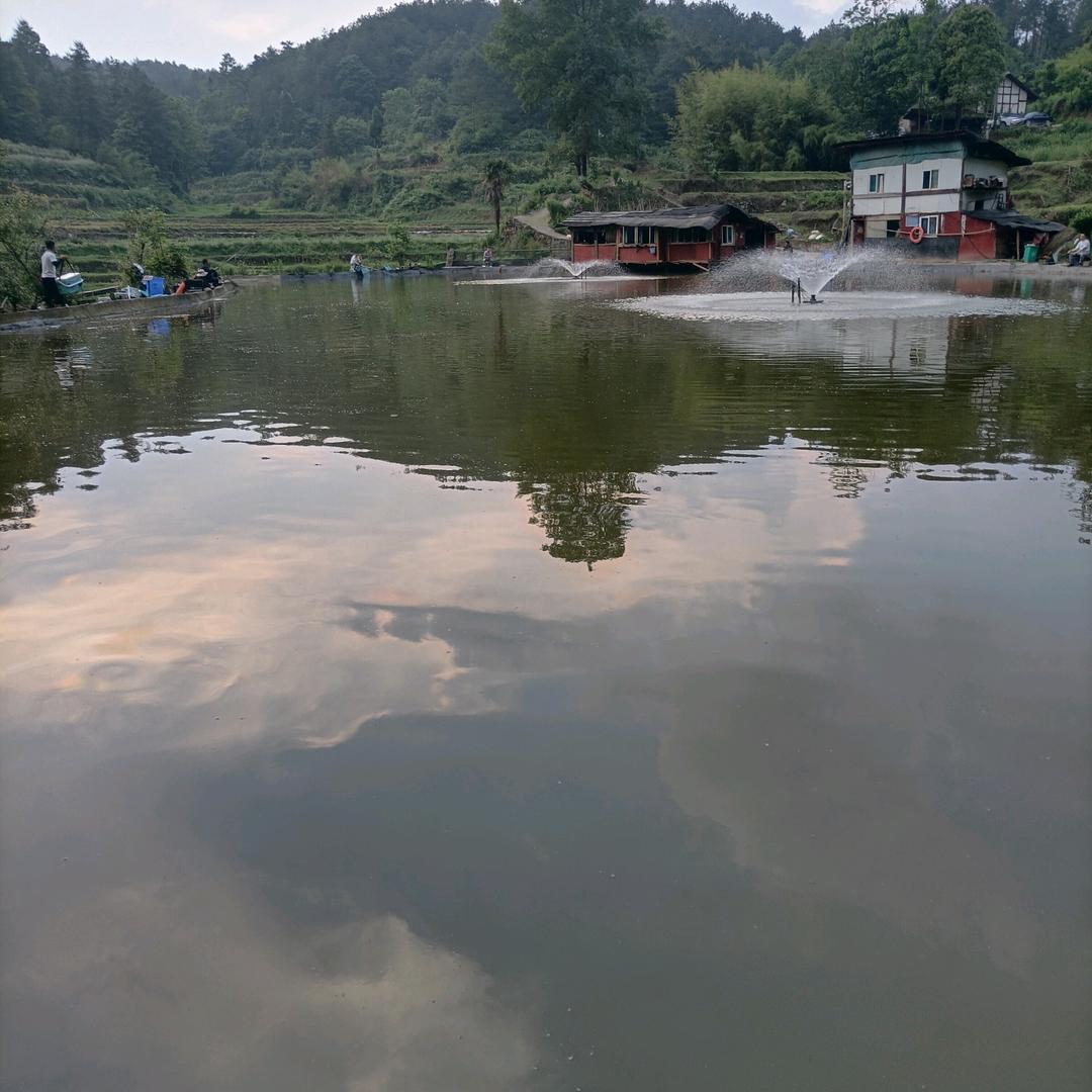 曾家鱼塘