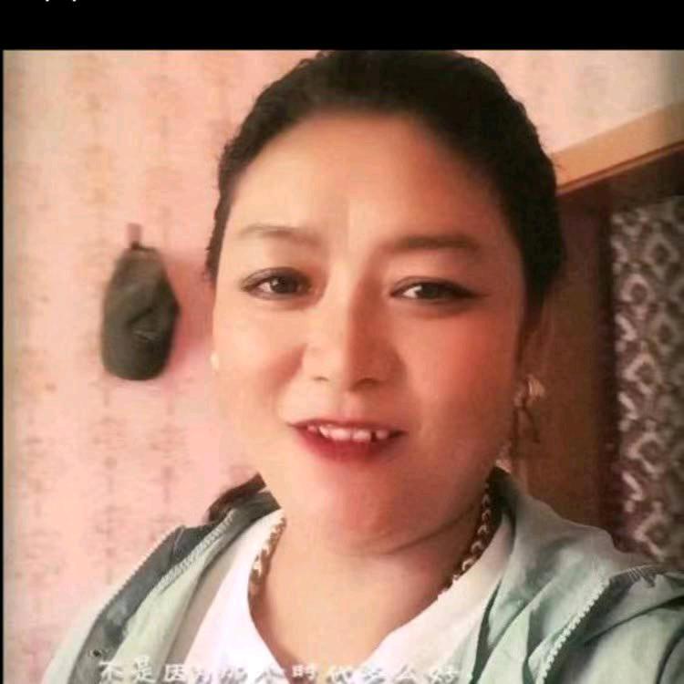 西藏名品窗帘电动遮阳帘