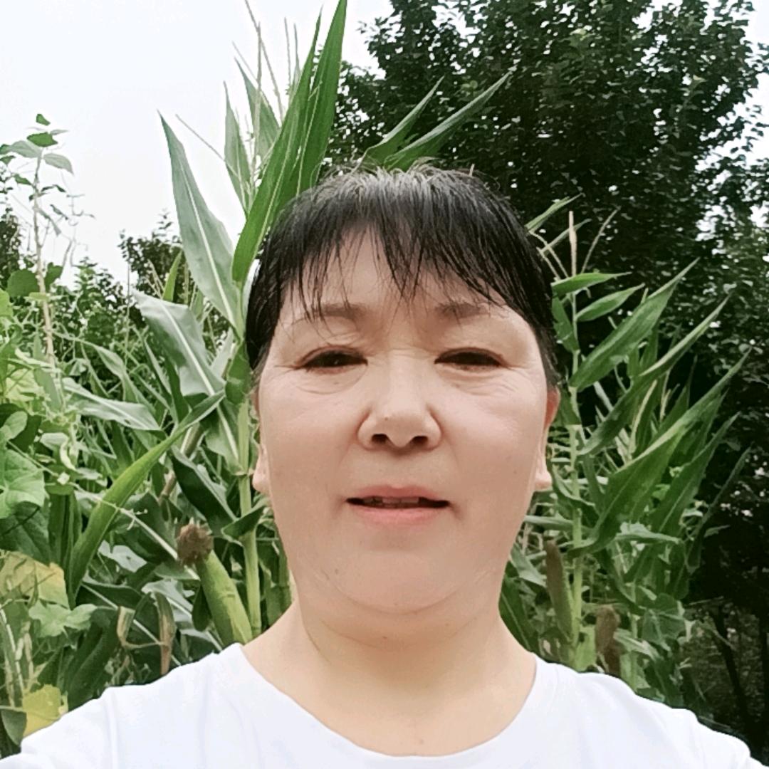 快乐姐