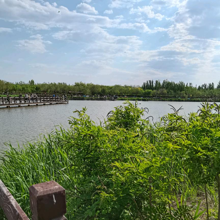 我是你通讯录好友