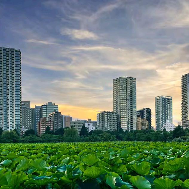 瞬间幸福《音乐短剧》