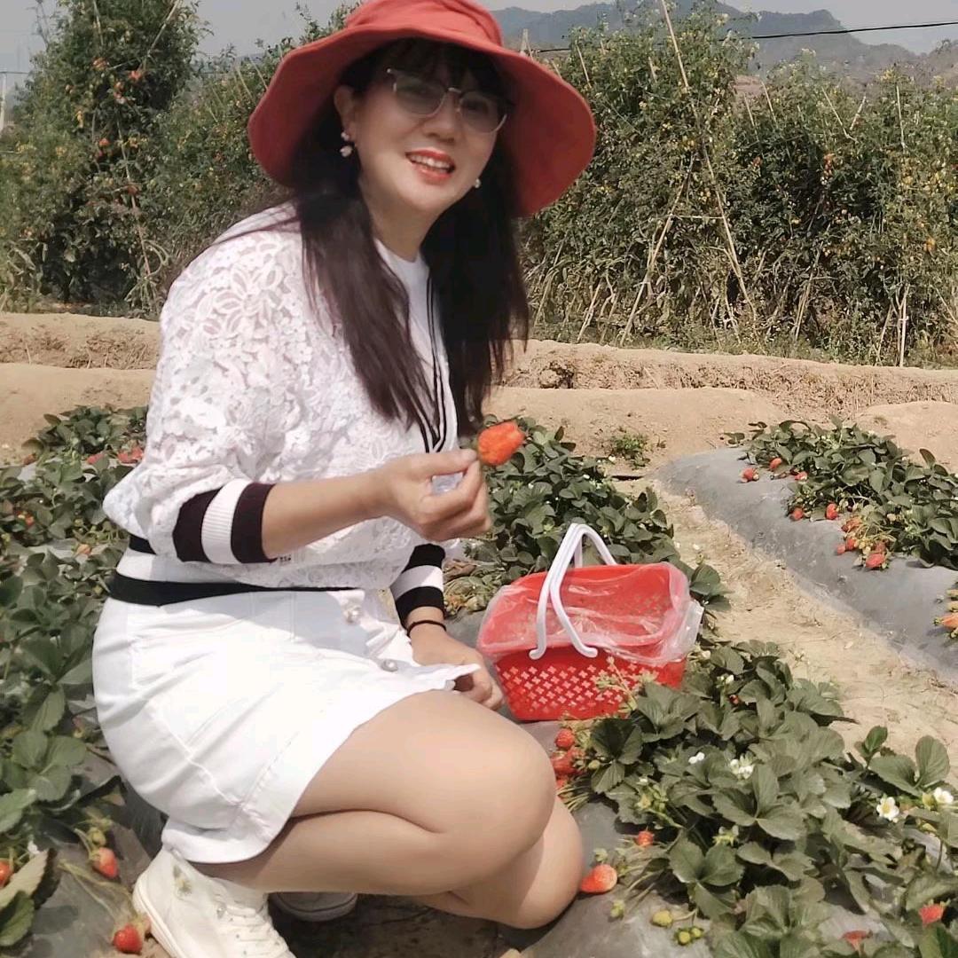 秋小茶