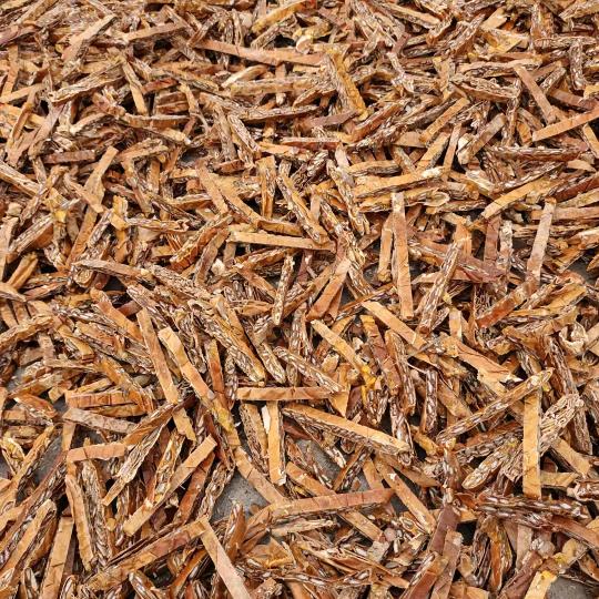 （瓜蒌）双华中药材农民专业合作社