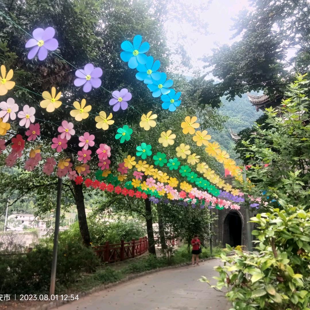 一生无悔💰💰