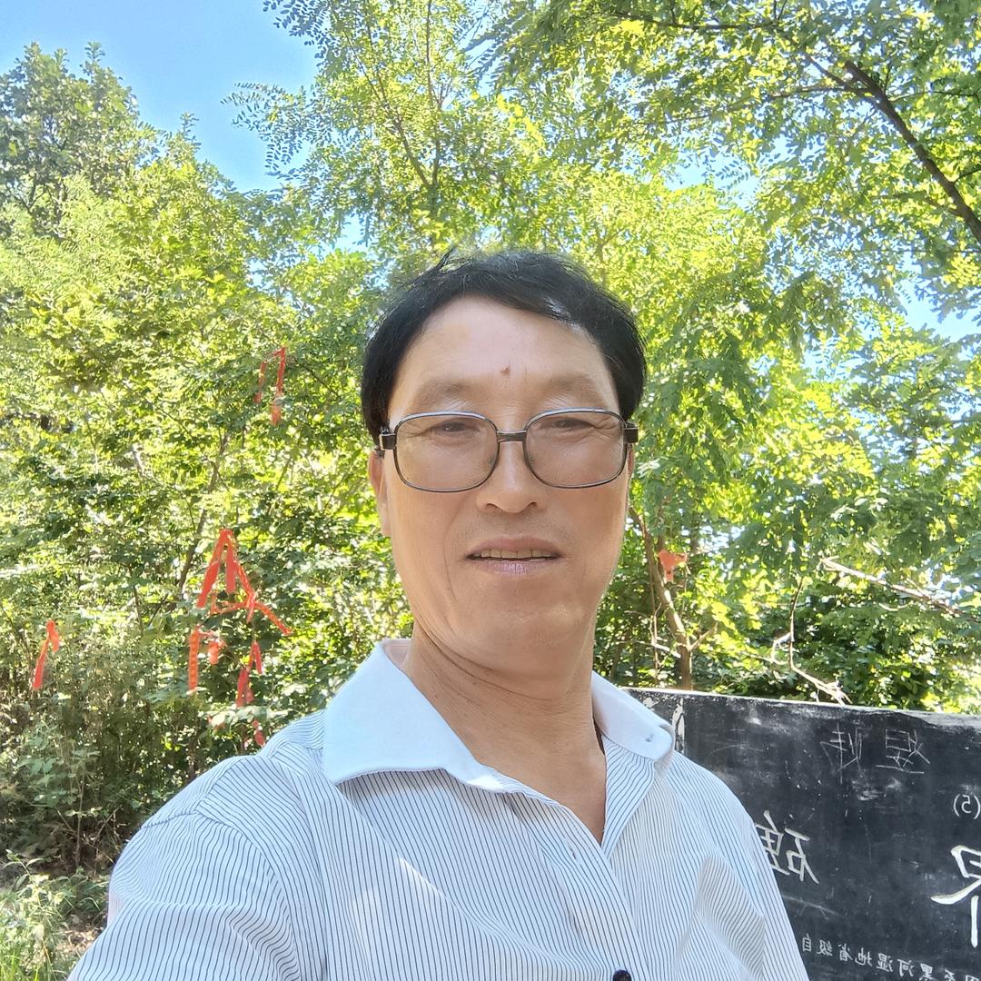 自由飞翔