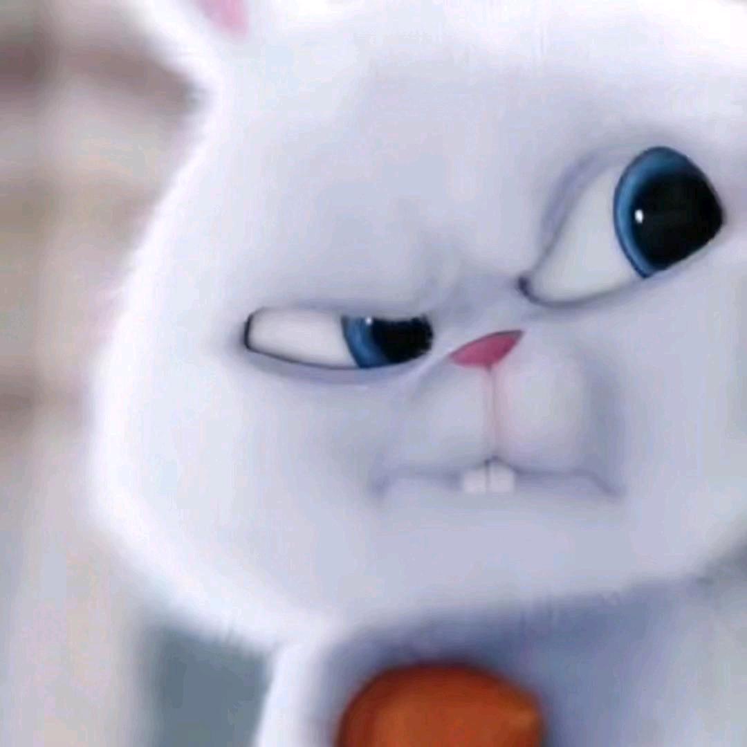 韦小宝