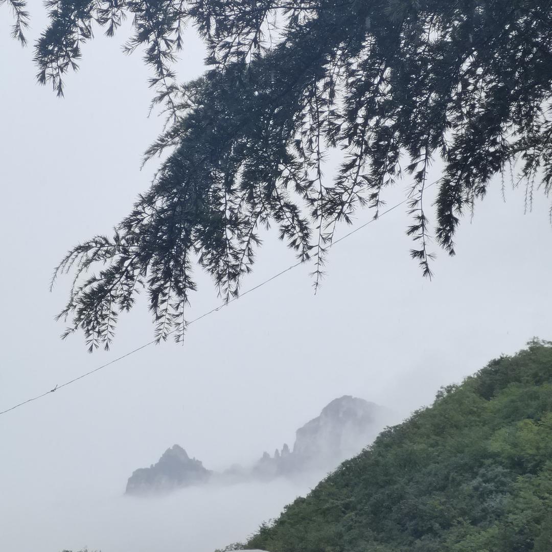 双向奔赴的人生