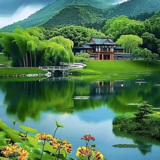 名杨天下