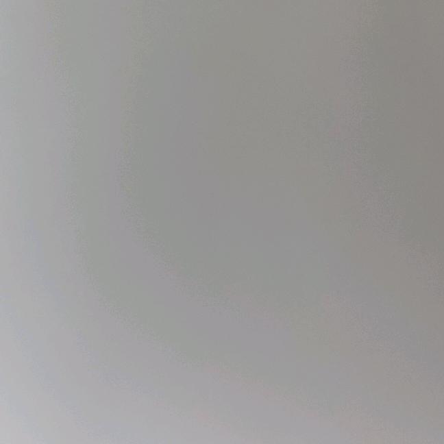 莉莉小助手