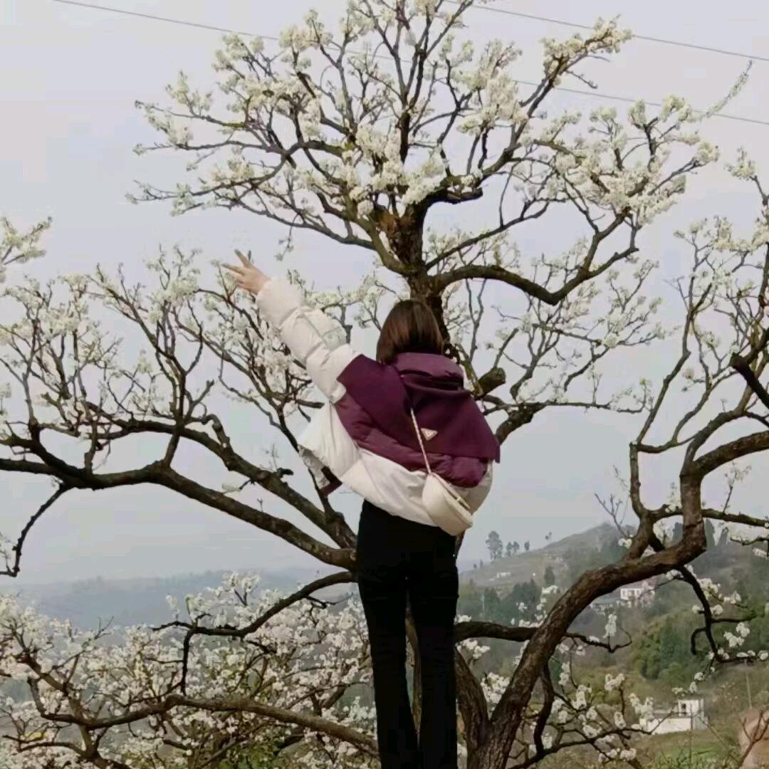 ঞ🍒兜兜꧔ꦿ᭄有糖࿐ᩚ