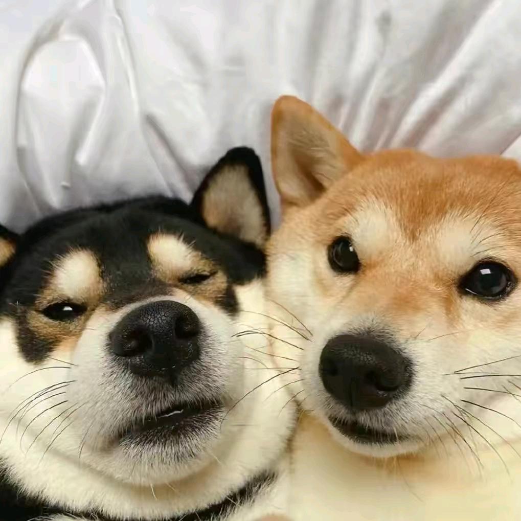 韩老六