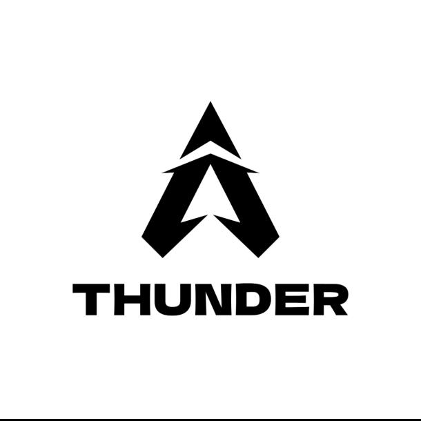 奔雷战术 Thunder Group