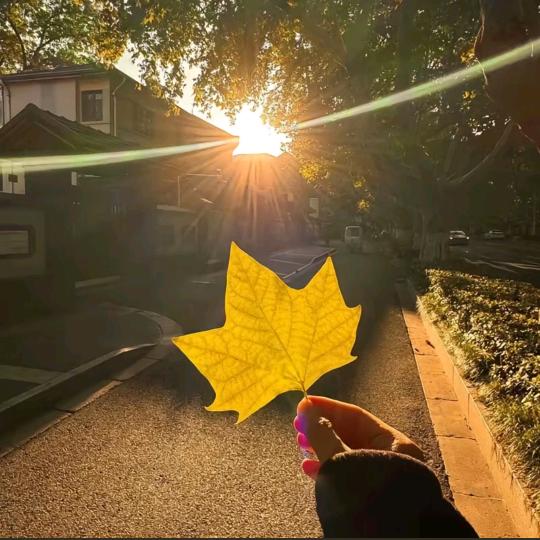 （｡ò ∀ ó｡）