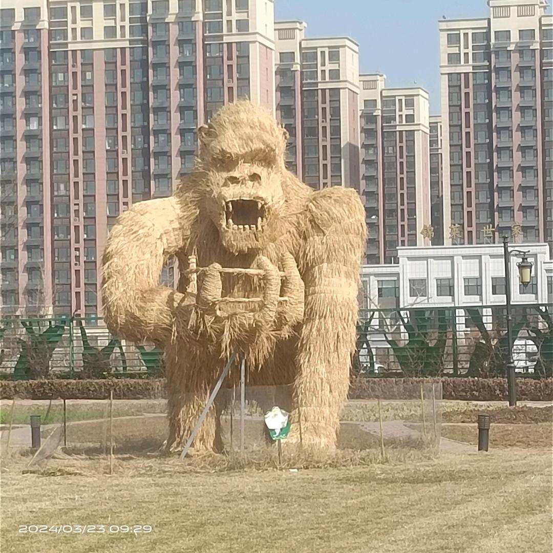 ٩(￥A￥)۶恭喜发财