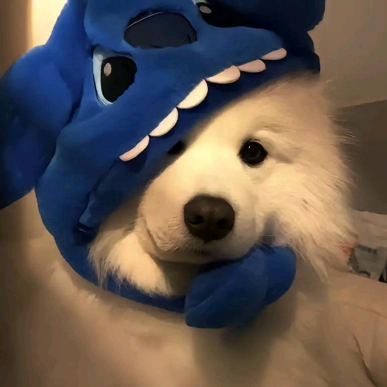 77rich