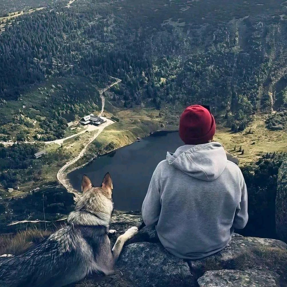 天天加贝开心✧٩(ˊωˋ*)و✧