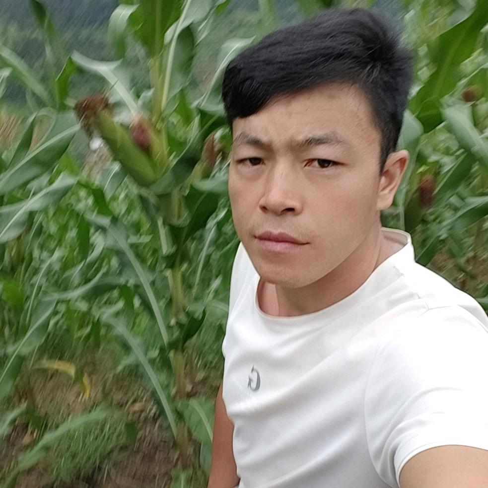 下雨有伞，天黑有灯