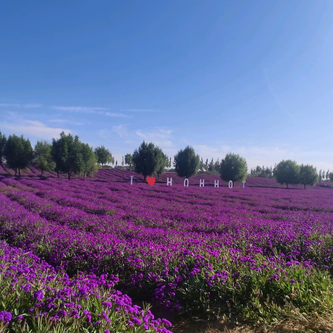 若有战  🇨🇳   召必回🇨🇳