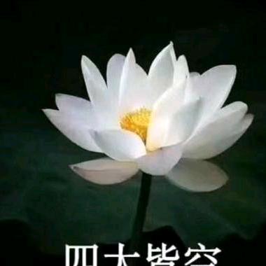 铁锤妹妹