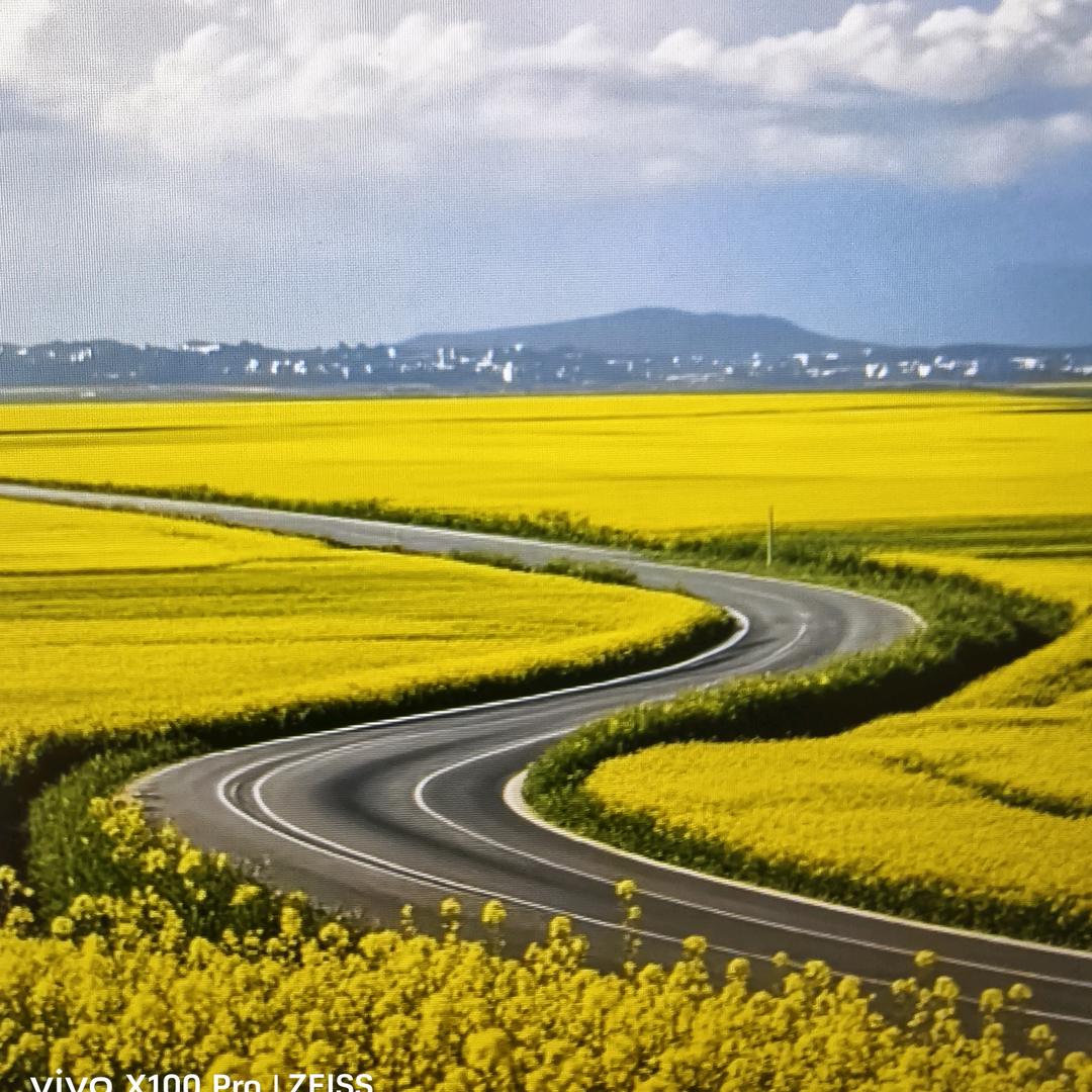 蕾蕾甑选