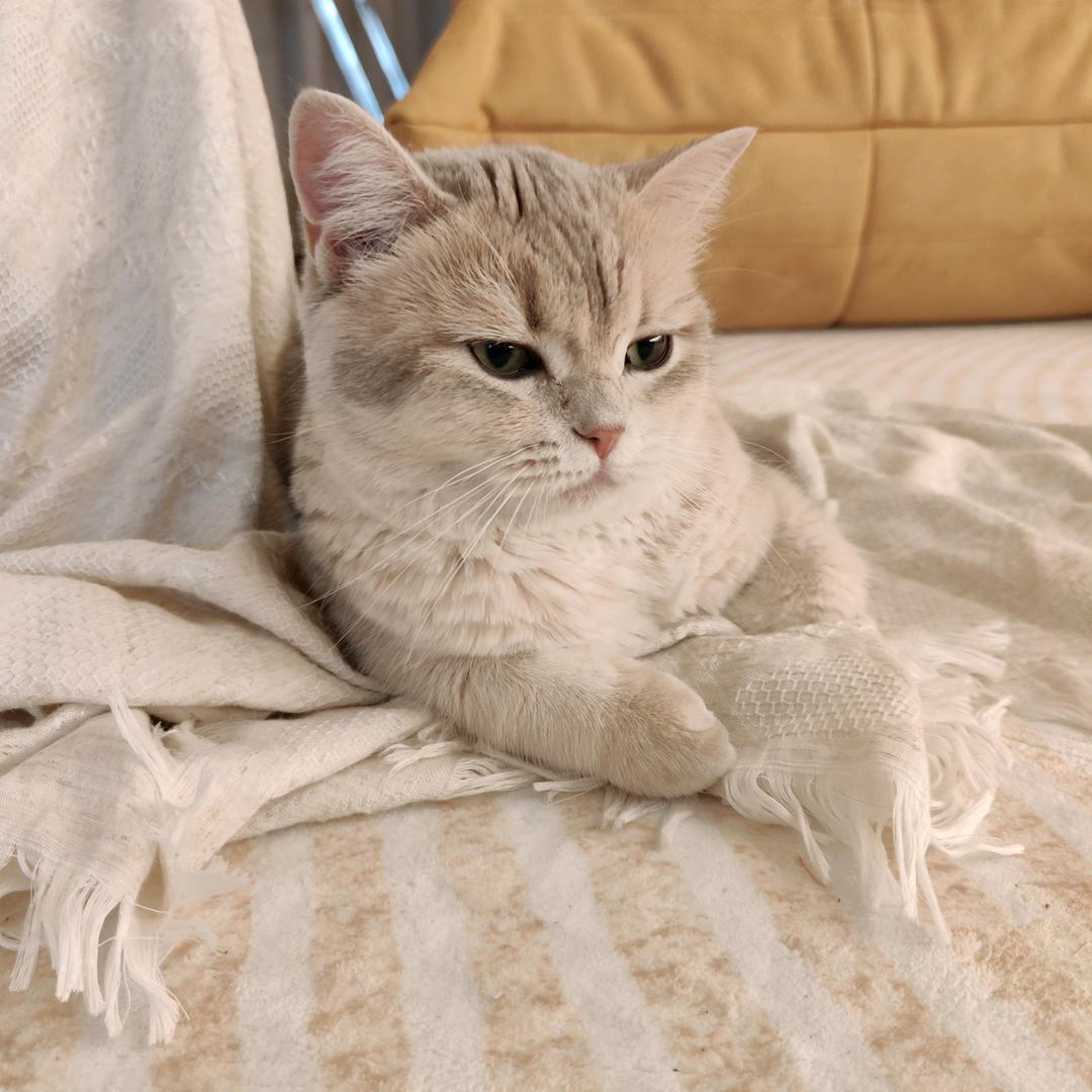 •