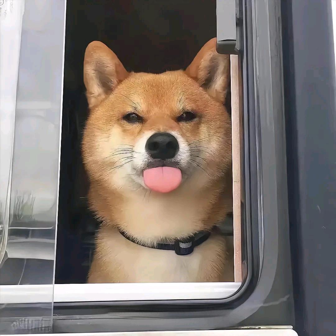 能吃三个大馒头