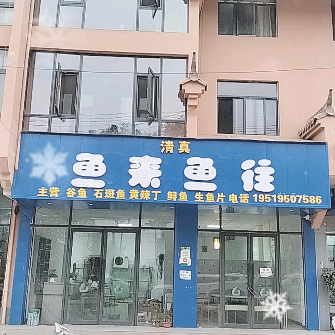 🐟鱼来鱼往🐟