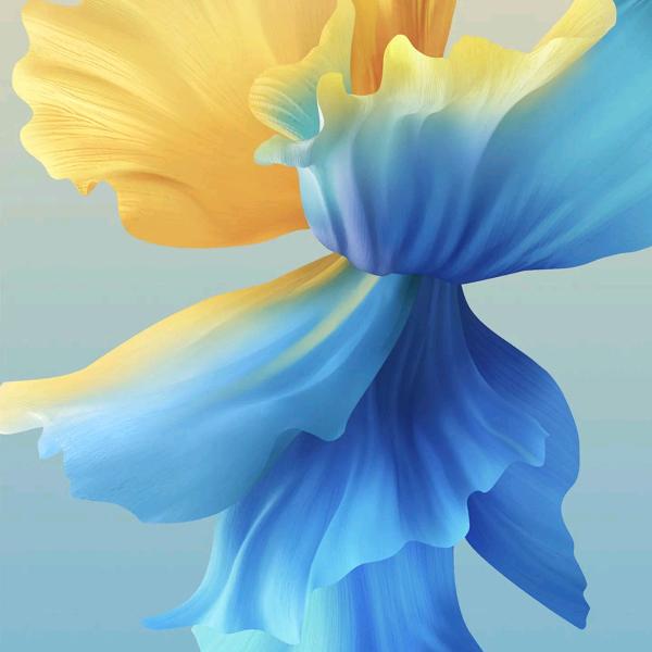 樱桃花