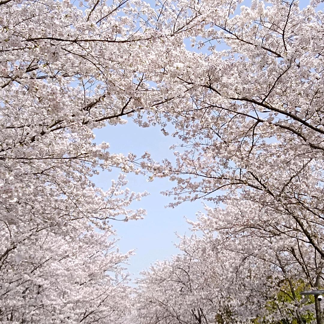江~哥
