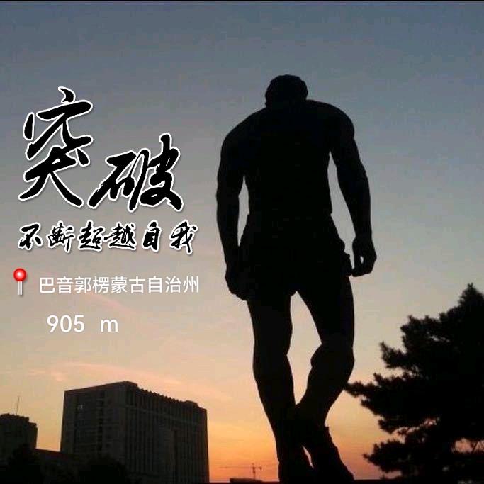 疆梨梨