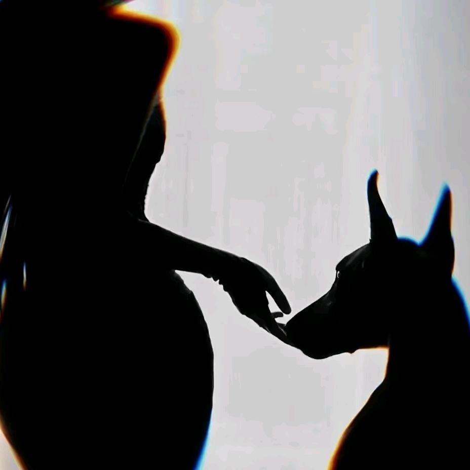 斯慕踩背馆