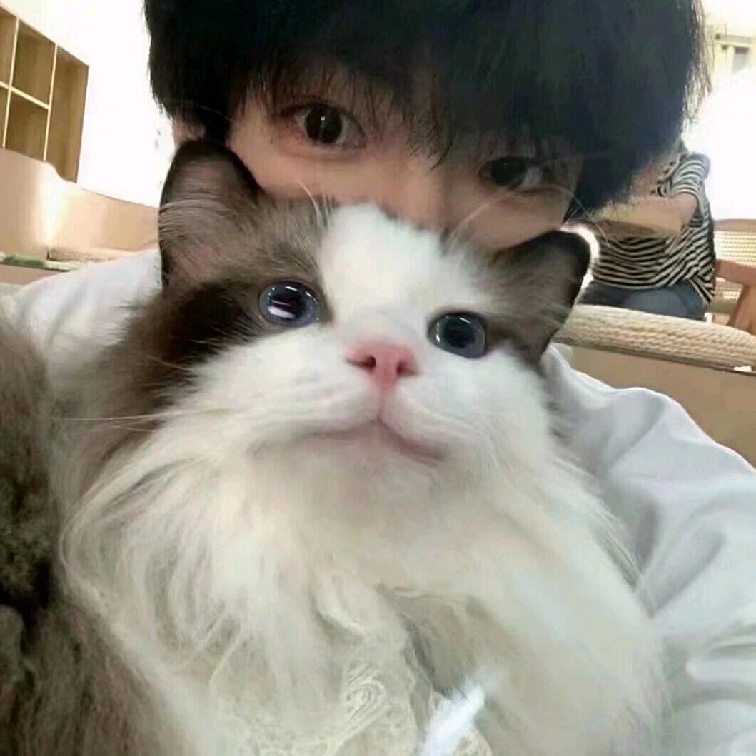 撩