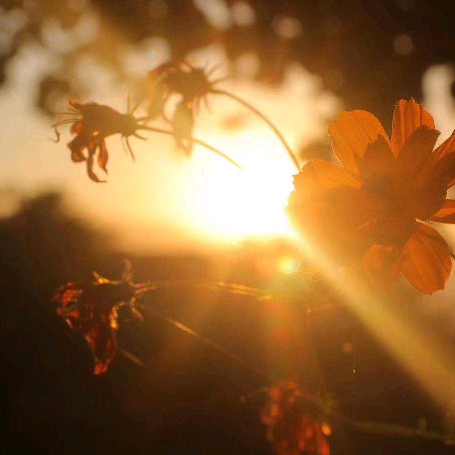 金荣🌻🌻