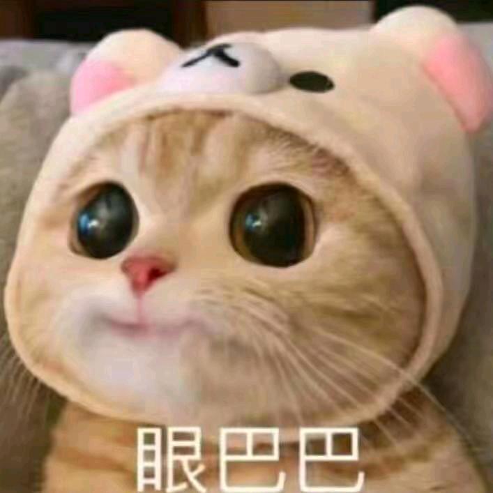 土豆子
