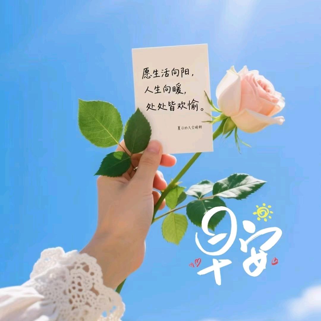 山里阿妹