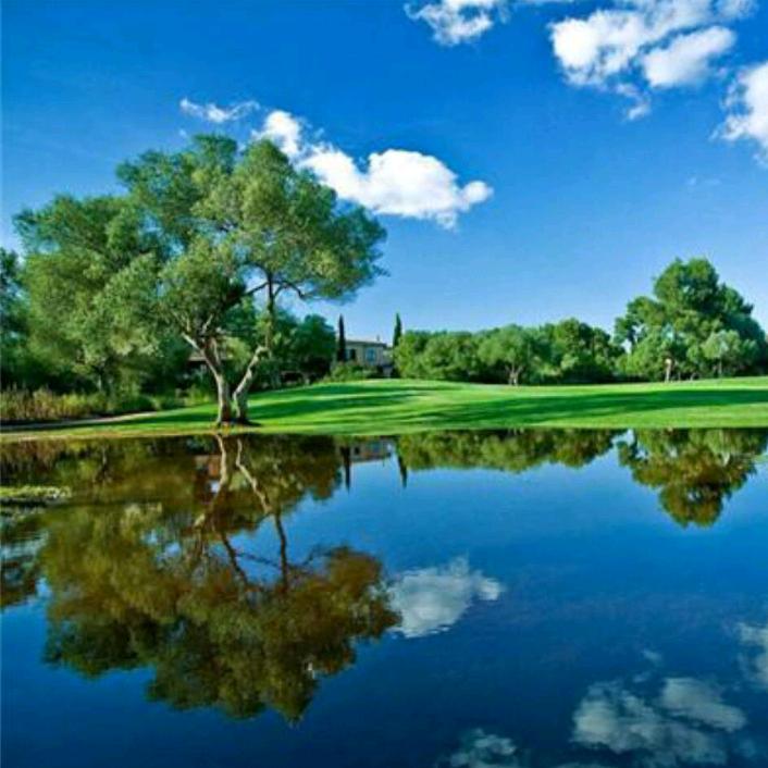 【圆核酸枣手串】木易