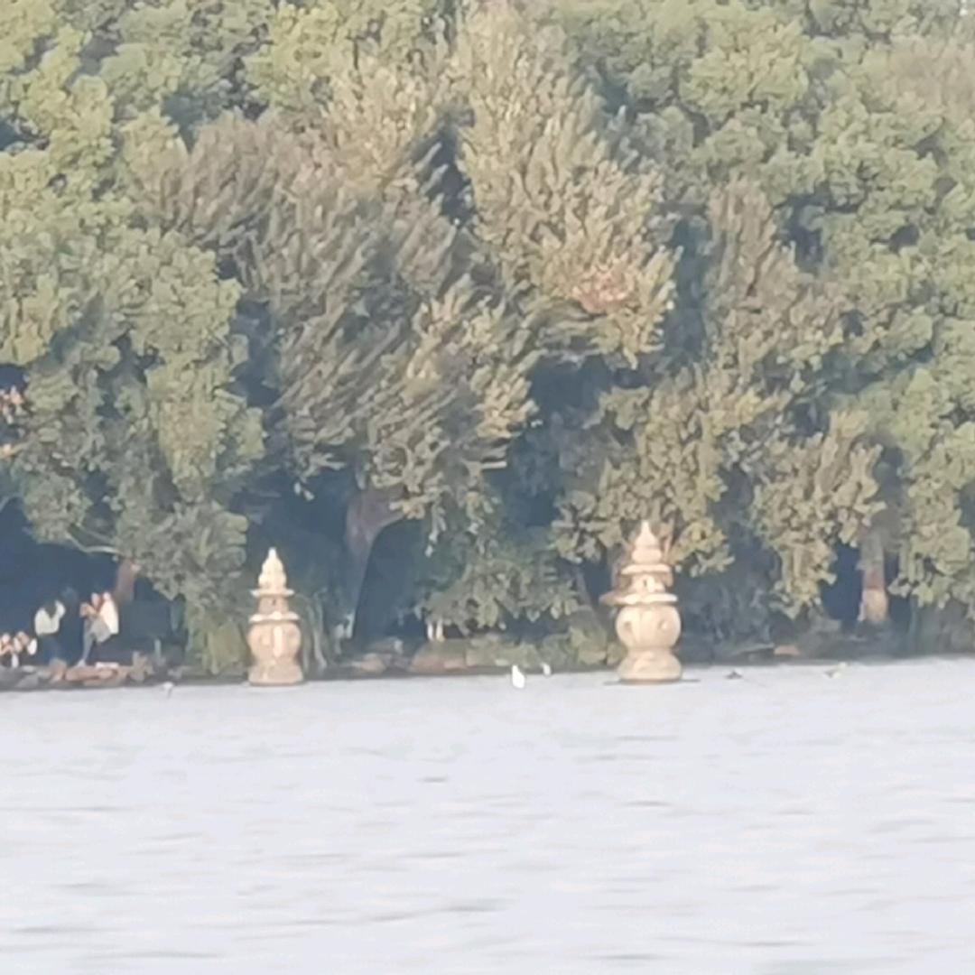 游荡在天地间