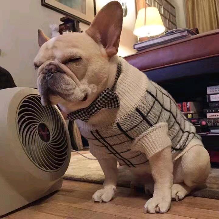 皮皮虾虾🦐🦐